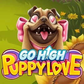 Go High Puppy Love logo – Slots by RubyPlay at Winplace Casino