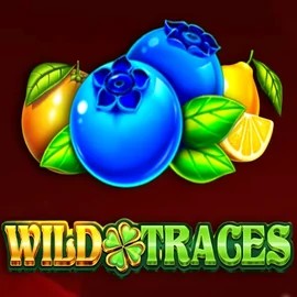 Official Slots logo: Wild Traces by Amusnet Interactive at Winplace Casino